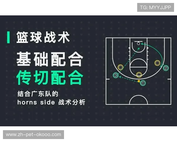 广州篮球队反击战术深度分析与实战应用探讨 广州篮球队反击战术深度分析与实战应用探讨