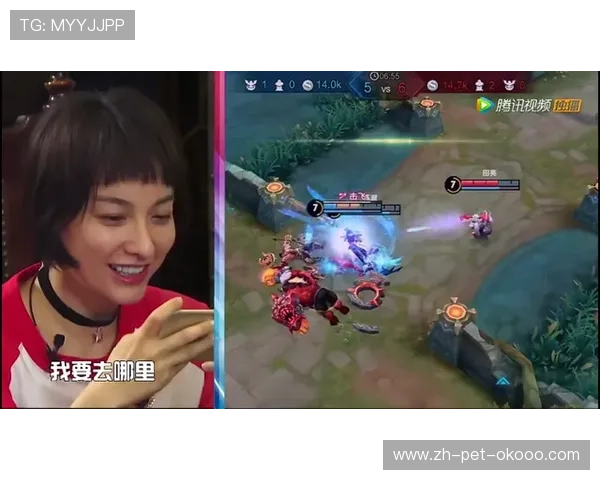 武汉乒乓球队逆袭之路揭秘冠军赛背后的奋斗与荣耀 武汉乒乓球队逆袭之路揭秘冠军赛背后的奋斗与荣耀