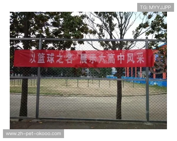 深圳篮球队以68分领跑奥运会积分榜展现强大实力和团队精神 深圳篮球队以68分领跑奥运会积分榜展现强大实力和团队精神